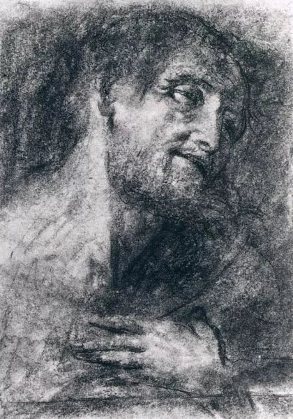 Head of a Bearded Man