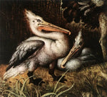 No Frame (Rolled in a Tube)