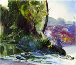 No Frame (Rolled in a Tube)