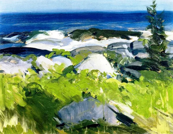 Vine Clad Shore - Monhegan Island