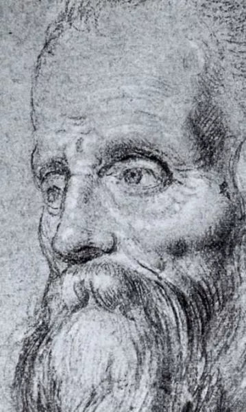 Head of an Old Bearded Man