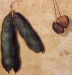 No Frame (Rolled in a Tube)