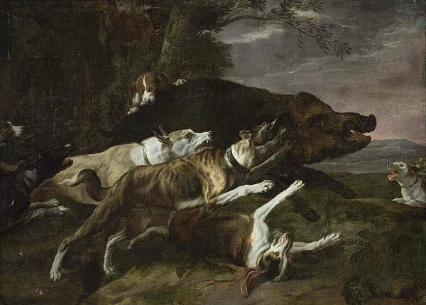 Hounds Assailing a Boar