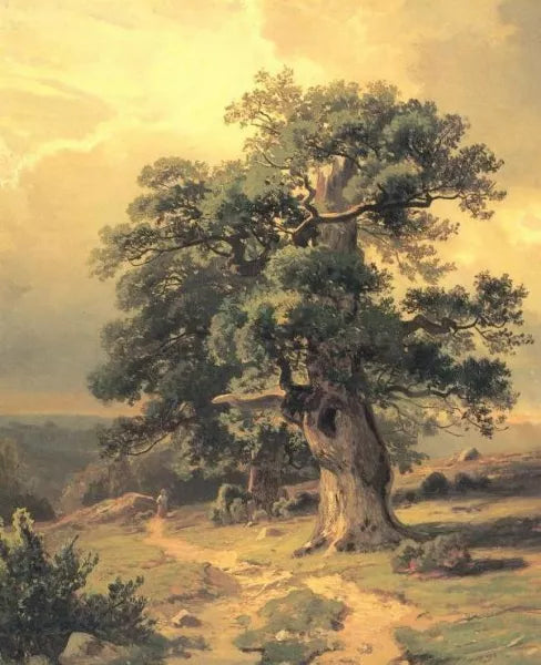 Oaks Study