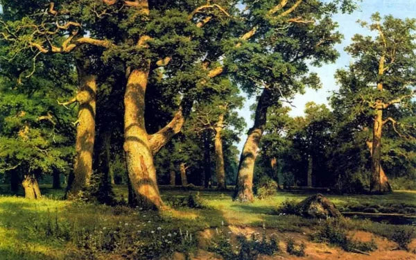 Oak-wood
