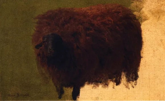 Large Wooly Sheep also known as Wether