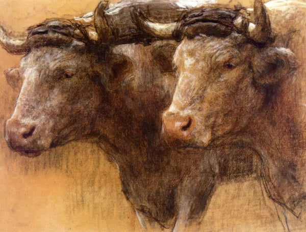 Heads of Two Oxen, Study for 'La Famille'