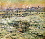 No Frame (Rolled in a Tube)