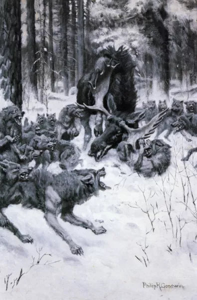 The Battle of the Strong and the Cunning