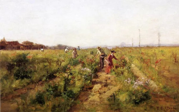 In the Berry Field