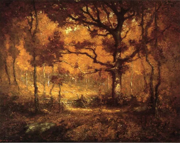 Autumn Woodlands