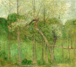 No Frame (Rolled in a Tube)