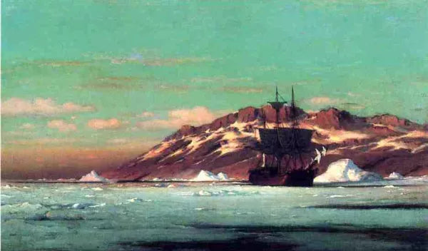 Arctic Scene