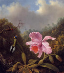 No Frame (Rolled in a Tube)