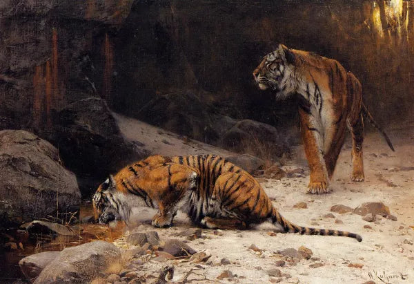 Tigers at a Drinking Pool