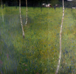 No Frame (Rolled in a Tube)