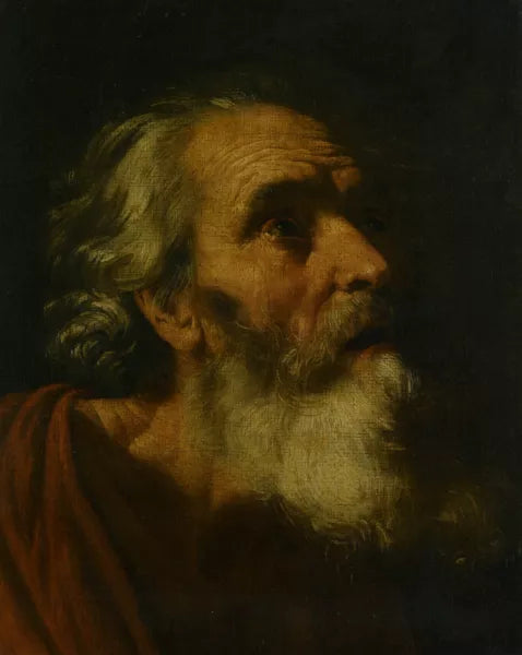 Study for the Head of a Male Probably Saint Peter