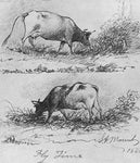 No Frame (Rolled in a Tube)