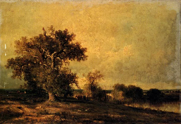 Vieux Chene Et Troupeau Au Bord D'une Mare