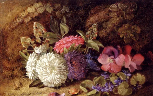 Asters,Pansies And Violets