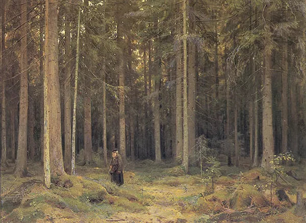 The Forest of Countess Mordvinova