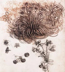 No Frame (Rolled in a Tube)