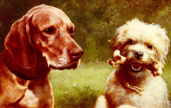 The Cynic and the Philosopher