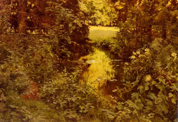 Clairiere Dans Une Foret