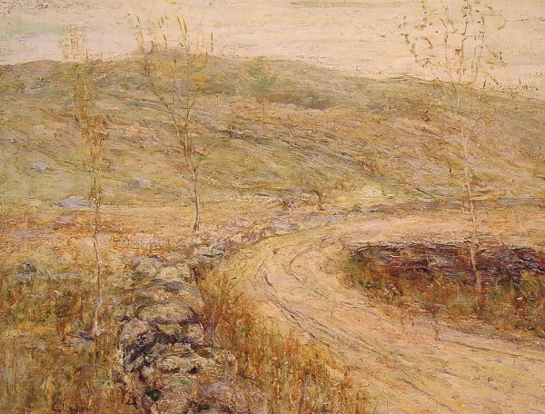 Road in Spring