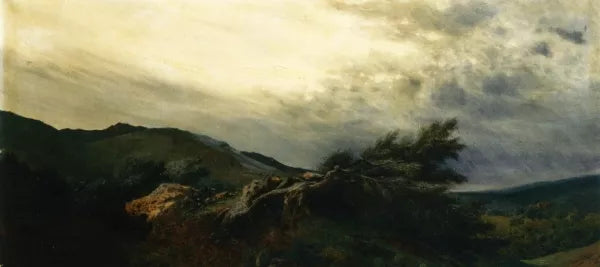The Storm