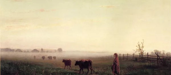 Cool Morning on the Prarie