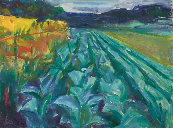 Cabbage Field