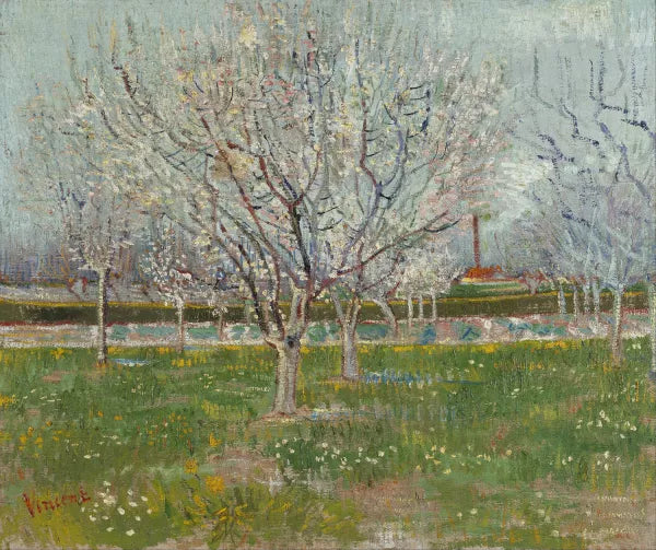 Orchard in Blossom