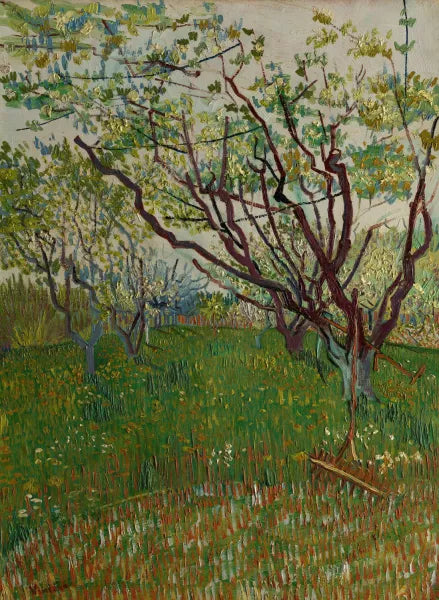 The Flowering Orchard