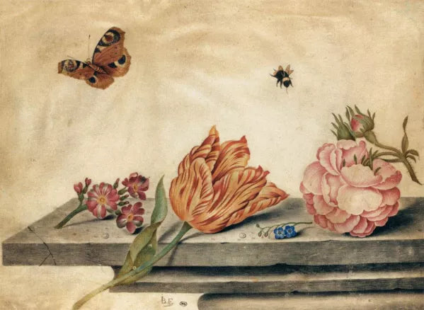 Butterflies and Insects