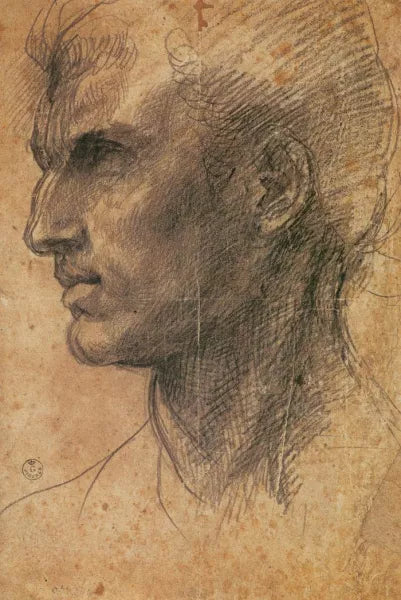 Head of a Man in Profile Facing Left