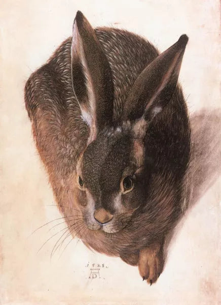 Hare