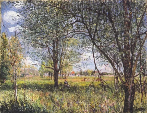 Willows in a Field - Afternoon