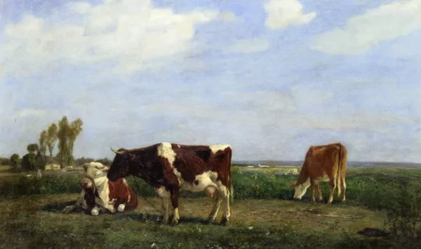 The Cows in a Meadow