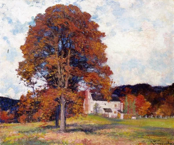 Autumn Hillside & My Studio