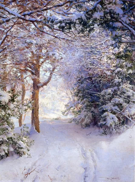 Snowy Landscape