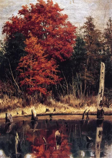 Lakes and Ponds