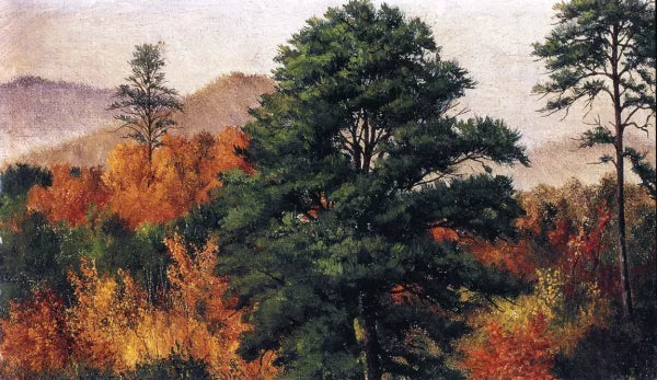 Autumn and Fall Foliage