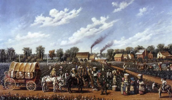 Farms and agriculture