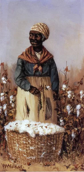 Negro Women in Cotton Field