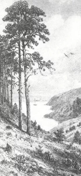 On River Kama near Elabuga