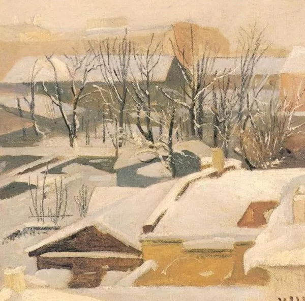 Town's roofs in winter