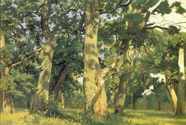 Oaks, Evening Study for Picture Oak-Wood