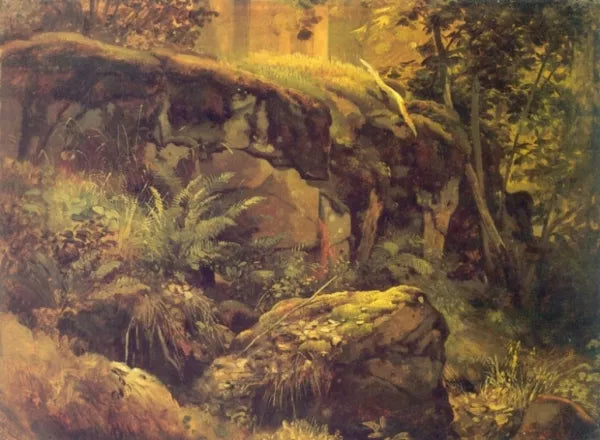 Stones in the forest, Valaam etude