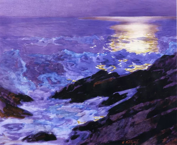Moonlight on the Coast